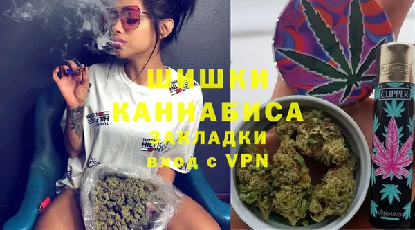 прущие грибы Балахна