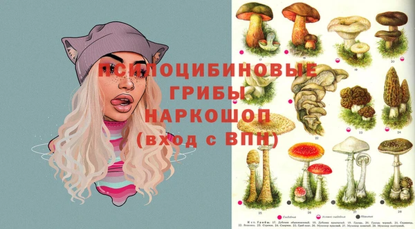 прущие грибы Балахна