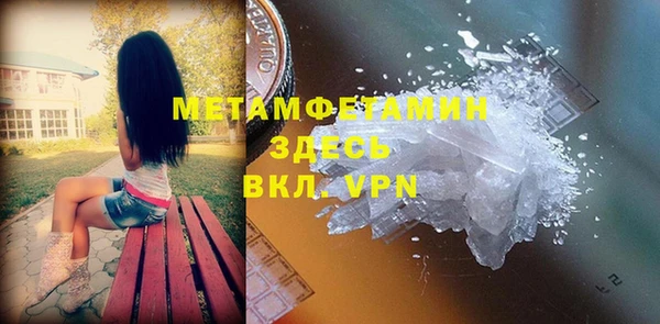 прущие грибы Балахна