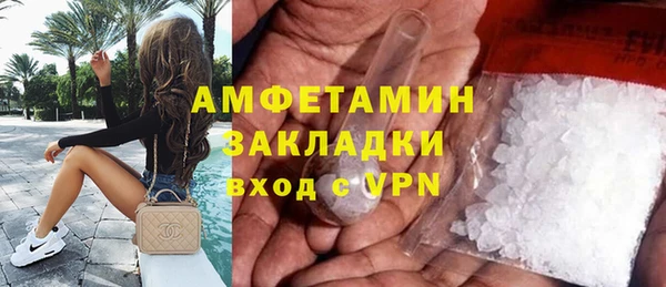 прущие грибы Балахна