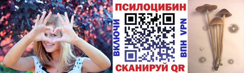 Галлюциногенные грибы Psilocybe  как найти закладки  Козельск 
