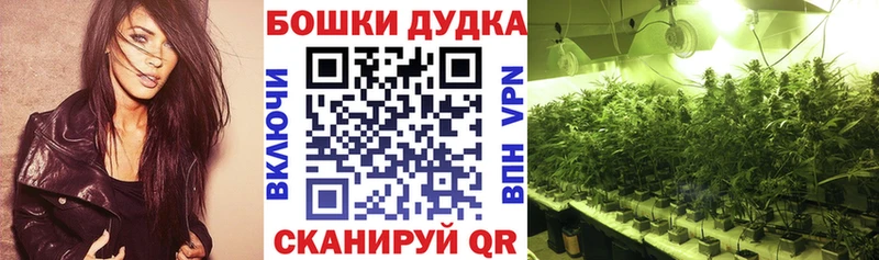 купить наркотики сайты  Козельск  Бошки марихуана планчик 